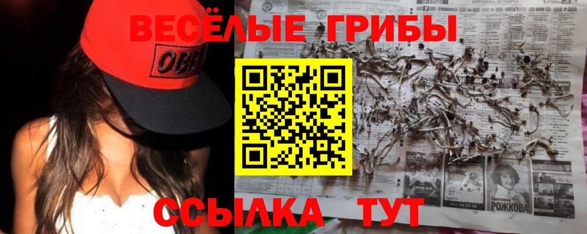 Галлюциногенные грибы мицелий  Вход с VPN  Магадан 